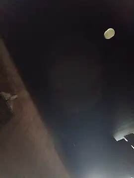 Snapshot of Jinli_01 chatting on July 23, 2026, 11:41 am Jinli 01 online show from July 23, 2026, 11:41 am