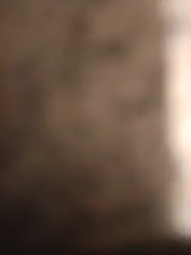 Lovesex329 online show from July 24, 2026, 11:58 pm