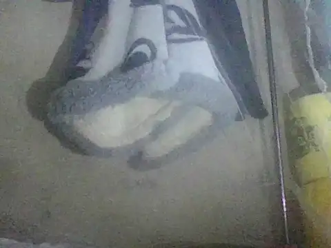 Snapshot of prettybelly chatting on May 26, 2026, 3:35 am prettybelly online show from May 26, 2026, 3:35 am
