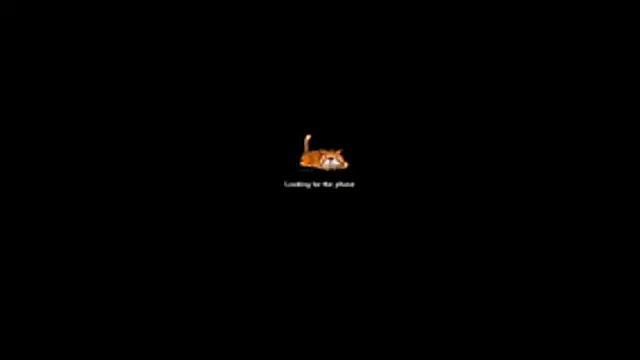 bella-diaz online show from July 13, 2026, 8:33 pm