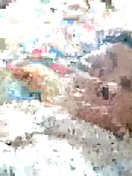 Snapshot of Orio-baby chatting on May 31, 2026, 8:10 pm Orio-baby online show from May 31, 2026, 8:10 pm