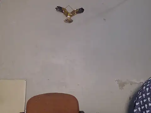 Snapshot of Frank_X_Husle chatting on July 13, 2026, 9:50 pm Frank X Husle online show from July 13, 2026, 9:50 pm