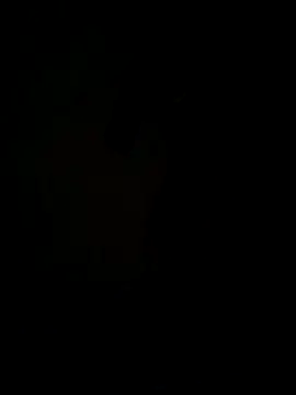 Snapshot of hook9sex chatting on June 11, 2026, 4:54 am hook9sex online show from June 11, 2026, 4:54 am