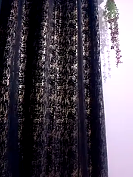 Snapshot of Amara254 chatting on July 1, 2026, 6:04 am Amara254 online show from July 1, 2026, 6:04 am
