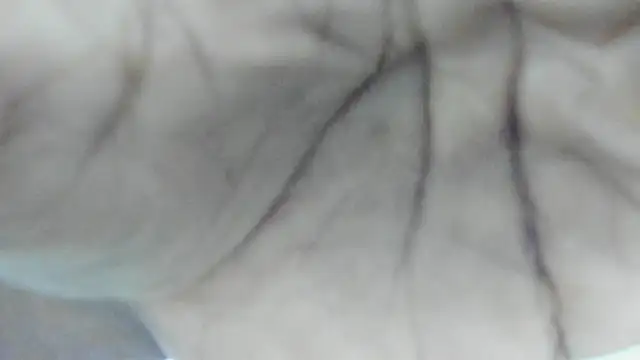 Snapshot of Philip_Cuellar chatting on July 23, 2026, 12:36 pm Philip Cuellar online show from July 23, 2026, 12:36 pm