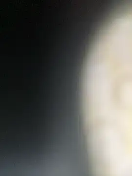 superbigdick123 online show from June 29, 2026, 6:08 am