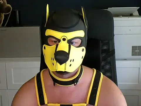 WildyLynx online show from July 7, 2026, 3:38 pm