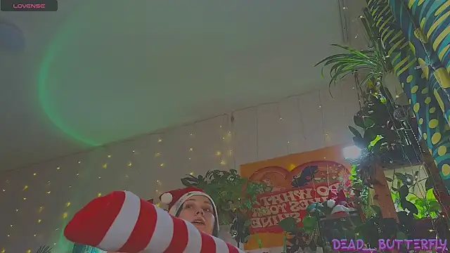 Dead Butterfly online show from December 27, 2024, 4:15 am