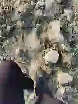 ThethunderPo online show from January 19, 2025, 2:36 am