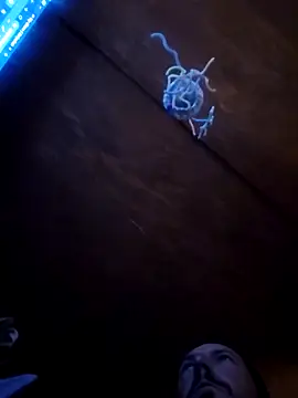 UncutHammer69 online show from April 9, 2026, 3:06 pm