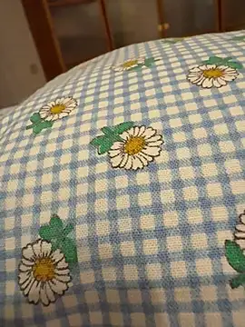 geilerboy2628 online show from April 3, 2026, 9:57 pm