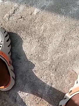 Bengali BULL1 online show from November 22, 2025, 4:00 am