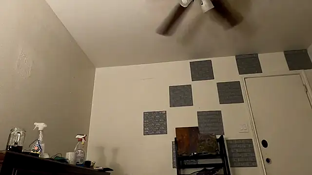 TheDaisyChaos online show from March 14, 2025, 1:27 am