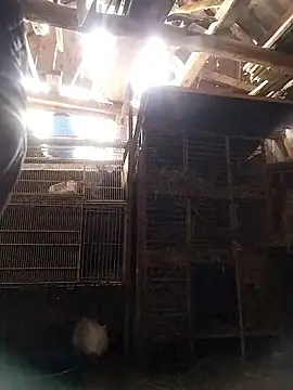 sarpe4 online show from January 10, 2026, 8:16 am