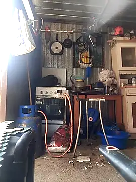 sarpe4 online show from April 14, 2026, 9:15 am