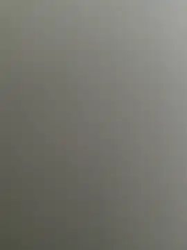 Bull8 online show from February 26, 2025, 9:32 am