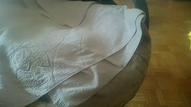 Python43 online show from February 20, 2025, 8:39 am