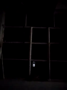 LUNAdeMARTE online show from January 9, 2025, 4:30 am