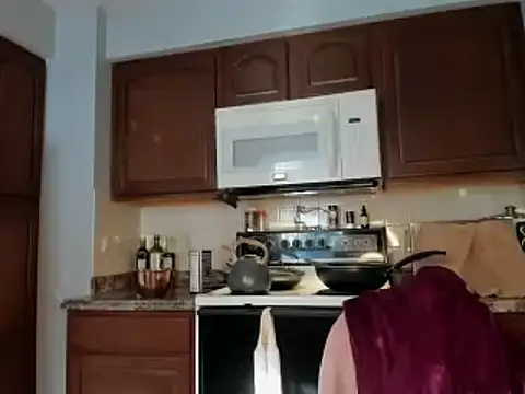 naturestwisted online show from December 13, 2024, 5:43 pm