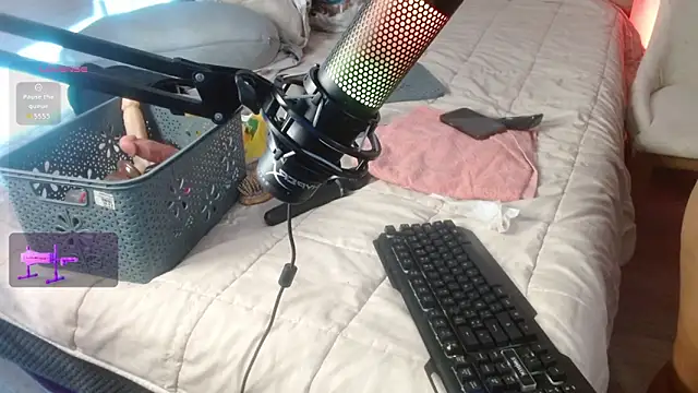 karlavittar online show from December 16, 2025, 5:07 pm