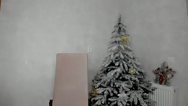 Snapshot of why_again_me chatting on December 27, 2024, 6:42 pm why again me online show from December 27, 2024, 6:42 pm