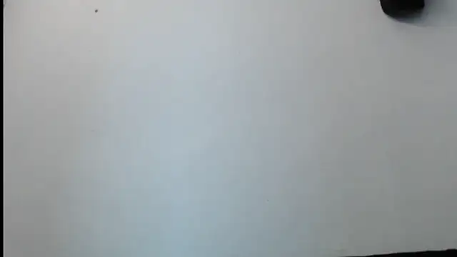 Snapshot of SebastianReiss chatting on February 13, 2025, 1:29 am SebastianReiss online show from February 13, 2025, 1:29 am