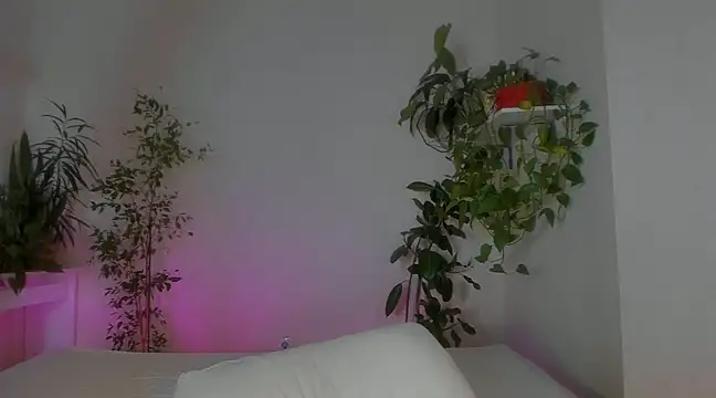 Masha 01 online show from January 21, 2025, 1:39 am