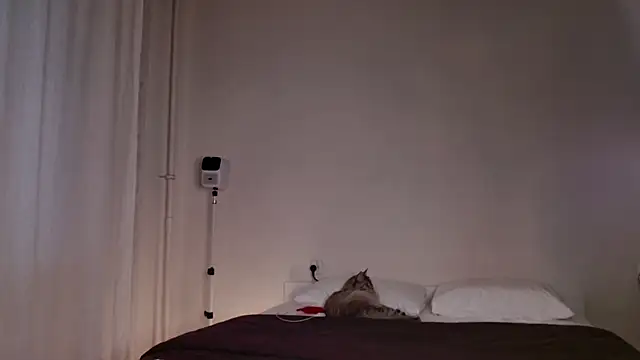 Milky   Way online show from October 5, 2025, 3:10 pm