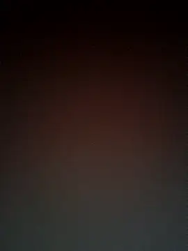 xals87 online show from October 24, 2025, 1:13 am