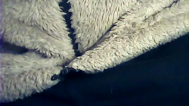 kalinixta online show from January 6, 2026, 6:44 pm