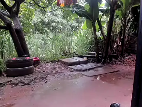 venusandzeusxh online show from October 14, 2025, 1:01 pm