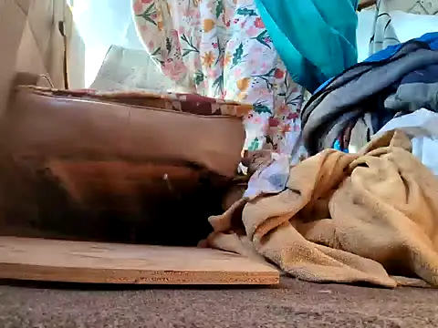 Snapshot of klamper chatting on January 28, 2025, 7:42 pm klamper online show from January 28, 2025, 7:42 pm