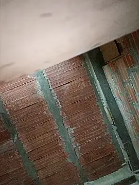 Brenda Berck  online show from September 16, 2025, 10:38 am