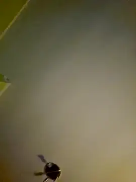 NiceHunter89 online show from January 12, 2025, 1:11 am