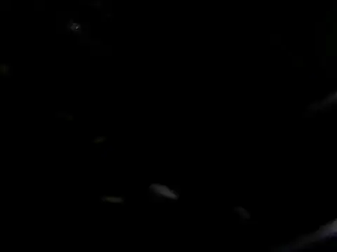 giga-bite online show from October 10, 2025, 3:44 pm