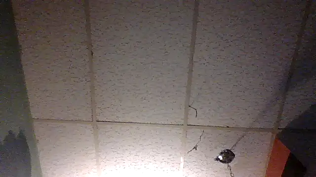 moipipi2 online show from December 7, 2024, 4:31 am