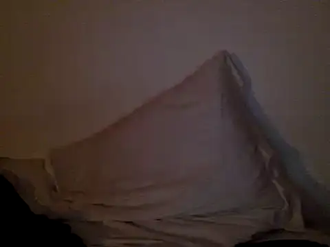 Snapshot of FelipeRiver chatting on January 22, 2025, 1:20 am FelipeRiver online show from January 22, 2025, 1:20 am