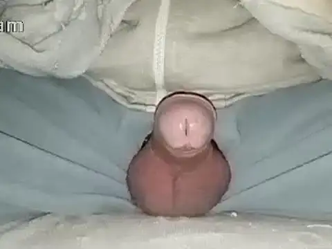 Bigdick666cm online show from January 31, 2025, 6:47 pm