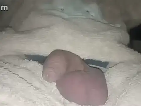 Bigdick666cm online show from February 22, 2025, 3:45 am