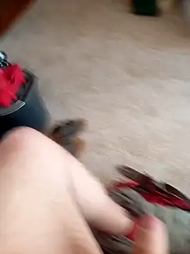 maiki7778 online show from October 2, 2025, 12:34 pm