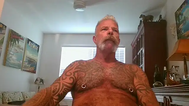 Snapshot of njdbear chatting on November 1, 2025, 9:17 pm njdbear online show from November 1, 2025, 9:17 pm