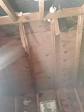 Snapshot of MaddyC6992 chatting on December 26, 2024, 12:49 pm MaddyC6992 online show from December 26, 2024, 12:49 pm