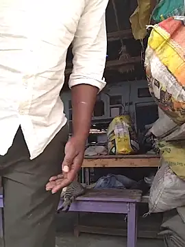 rohanhotguy online show from February 14, 2026, 5:59 am