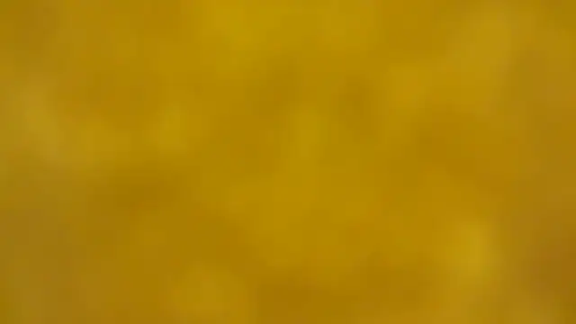 fmodel online show from December 16, 2025, 2:33 pm