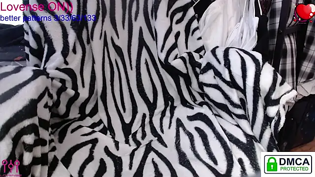 sweet cute cat online show from January 18, 2026, 10:30 am