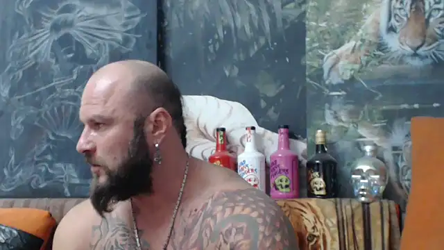 viking 30 online show from September 25, 2025, 6:44 pm