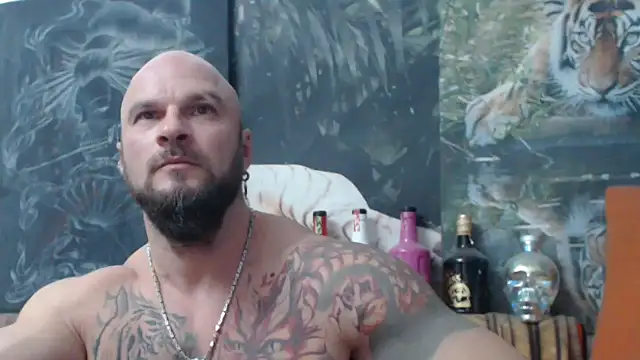 viking 30 online show from November 8, 2025, 7:45 pm