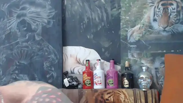 viking 30 online show from November 14, 2025, 7:51 am