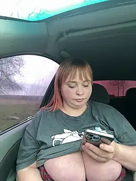 Model9798 online show from March 19, 2025, 3:08 pm