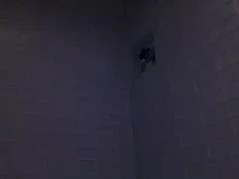 Snapshot of readyforfunxxx chatting on December 8, 2024, 3:13 pm readyforfunxxx online show from December 8, 2024, 3:13 pm